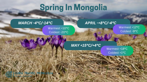 Mongolia weather in spring